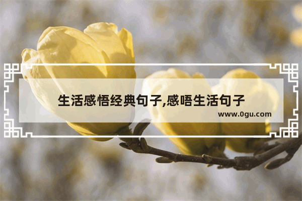 生活感悟经典句子,感唔生活句子