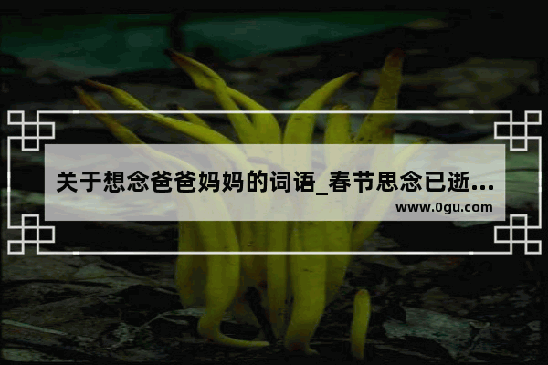 关于想念爸爸妈妈的词语_春节思念已逝父母文案