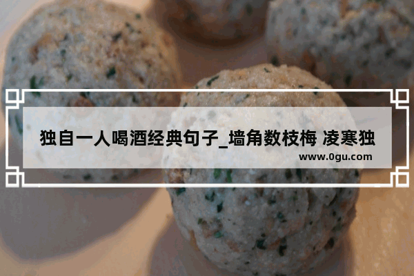 独自一人喝酒经典句子_墙角数枝梅 凌寒独自开表达了什么感情 道理