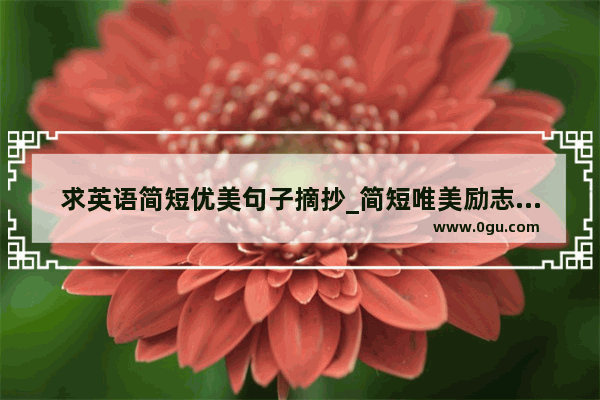 求英语简短优美句子摘抄_简短唯美励志英语句子有哪些