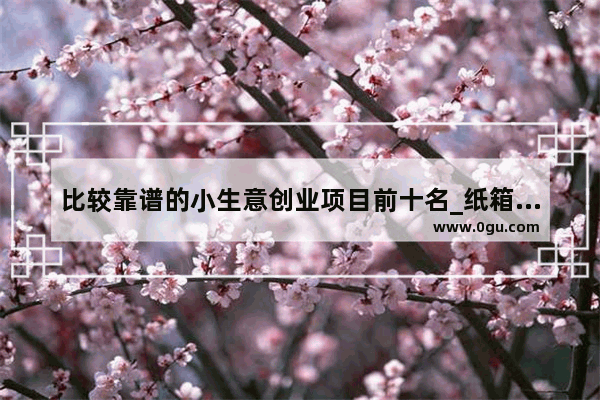 比较靠谱的小生意创业项目前十名_纸箱哥靠谱吗