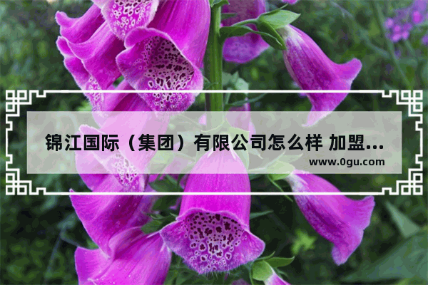 锦江国际（集团）有限公司怎么样 加盟锦江国际酒店