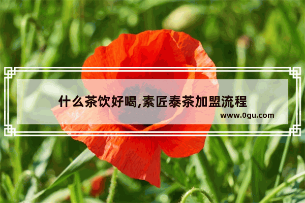 什么茶饮好喝,素匠泰茶加盟流程
