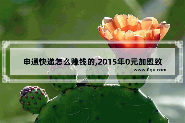 申通快递怎么赚钱的,2015年0元加盟致富