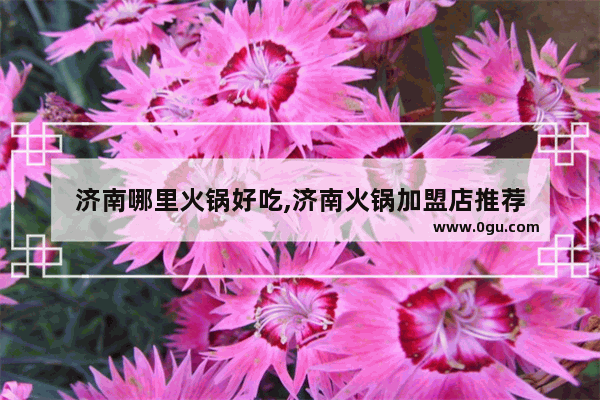 济南哪里火锅好吃,济南火锅加盟店推荐