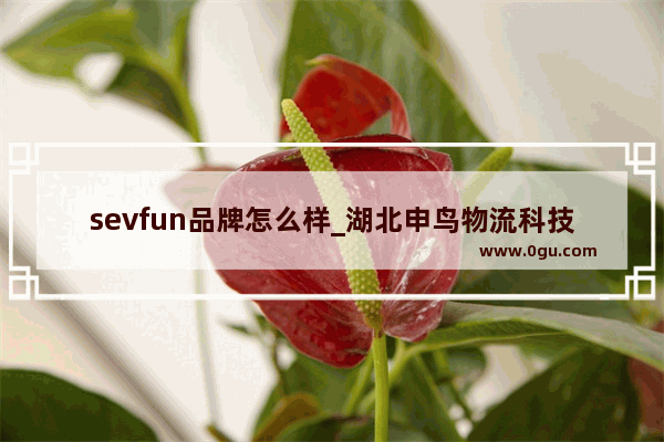 sevfun品牌怎么样_湖北申鸟物流科技有限公司可靠吗