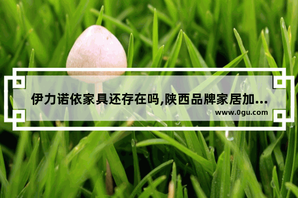 伊力诺依家具还存在吗,陕西品牌家居加盟品牌