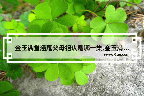 金玉满堂涵雁父母相认是哪一集,金玉满堂婚宴酒店加盟