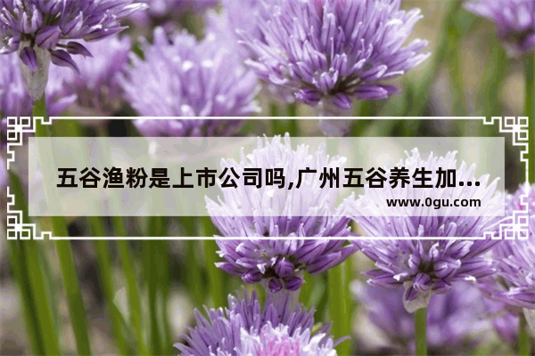 五谷渔粉是上市公司吗,广州五谷养生加盟店排行榜