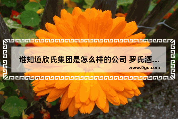 谁知道欣氏集团是怎么样的公司 罗氏酒店加盟