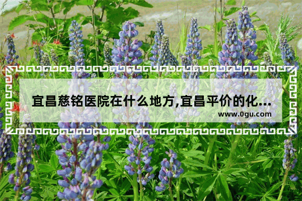 宜昌慈铭医院在什么地方,宜昌平价的化妆品品牌加盟