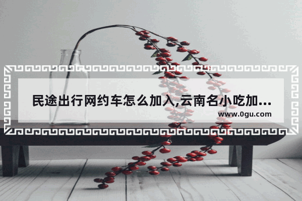 民途出行网约车怎么加入,云南名小吃加盟店推荐