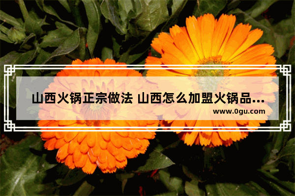 山西火锅正宗做法 山西怎么加盟火锅品牌大全