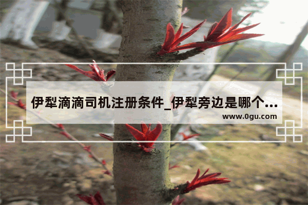 伊犁滴滴司机注册条件_伊犁旁边是哪个边境