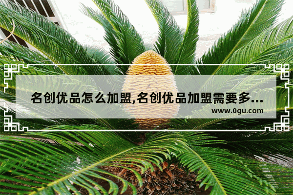 名创优品怎么加盟,名创优品加盟需要多少钱