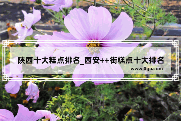 陕西十大糕点排名_西安++街糕点十大排名