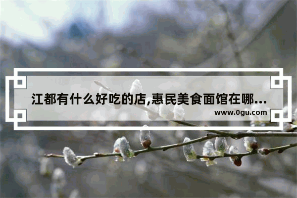 江都有什么好吃的店,惠民美食面馆在哪里加盟