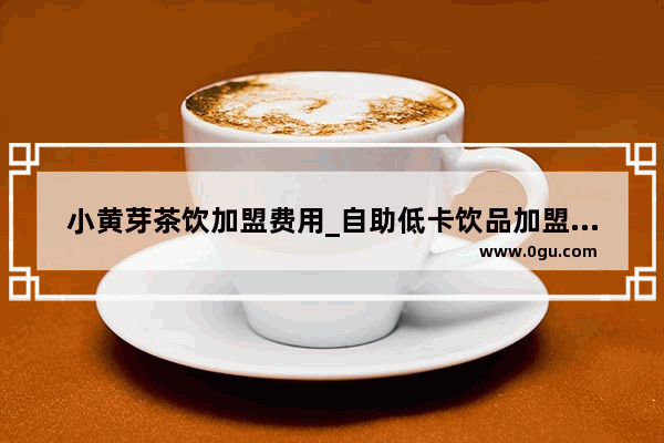 小黄芽茶饮加盟费用_自助低卡饮品加盟店排行