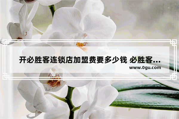 开必胜客连锁店加盟费要多少钱 必胜客的加盟条件