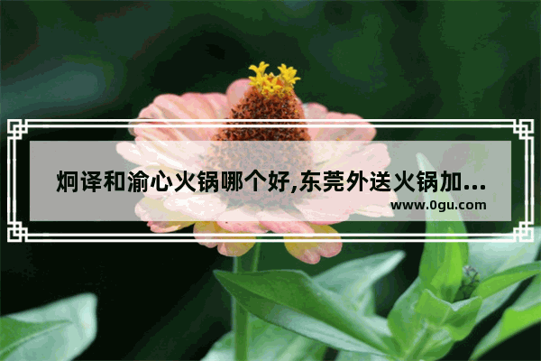 炯译和渝心火锅哪个好,东莞外送火锅加盟店排行榜