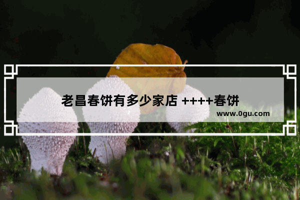 老昌春饼有多少家店 ++++春饼