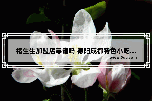 猪生生加盟店靠谱吗 德阳成都特色小吃加盟