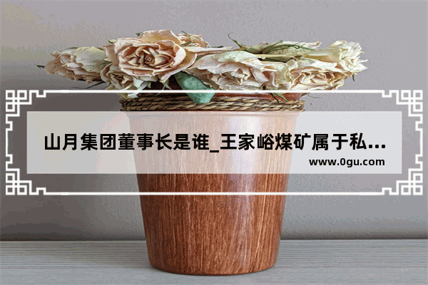 山月集团董事长是谁_王家峪煤矿属于私人还是路安