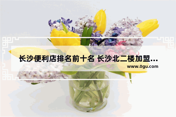 长沙便利店排名前十名 长沙北二楼加盟美食