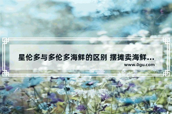 星伦多与多伦多海鲜的区别 摆摊卖海鲜加盟哪个品牌好