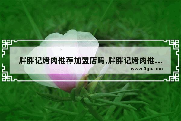 胖胖记烤肉推荐加盟店吗,胖胖记烤肉推荐加盟店吗