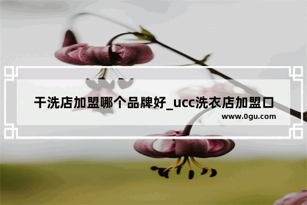 干洗店加盟哪个品牌好_ucc洗衣店加盟口碑好不好