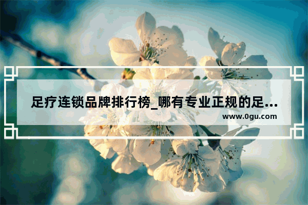 足疗连锁品牌排行榜_哪有专业正规的足疗店啊