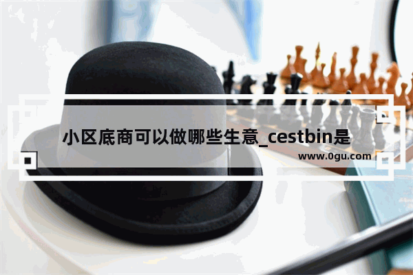 小区底商可以做哪些生意_cestbin是什么牌子