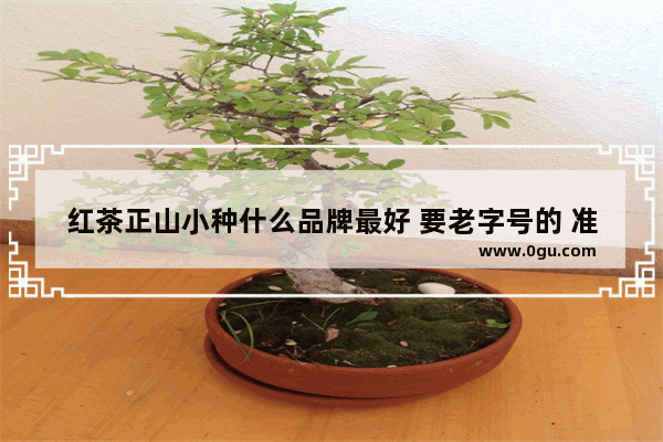 红茶正山小种什么品牌最好 要老字号的 准备送领导的_正山小种十大排名