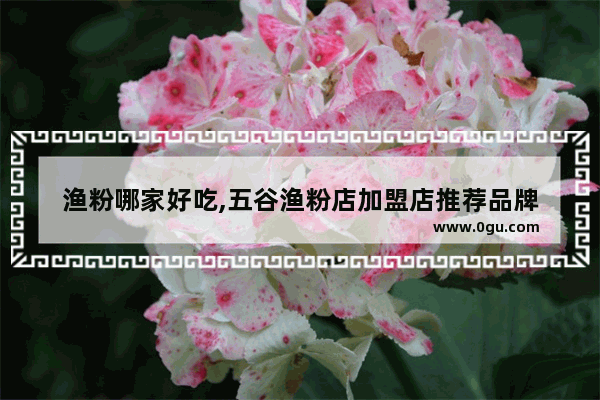 渔粉哪家好吃,五谷渔粉店加盟店推荐品牌