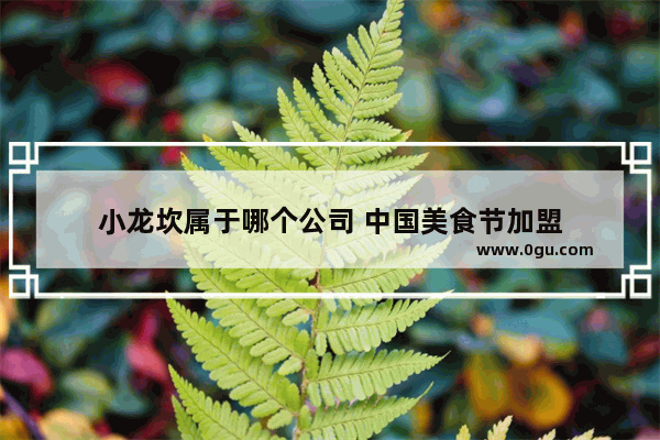 小龙坎属于哪个公司 中国美食节加盟