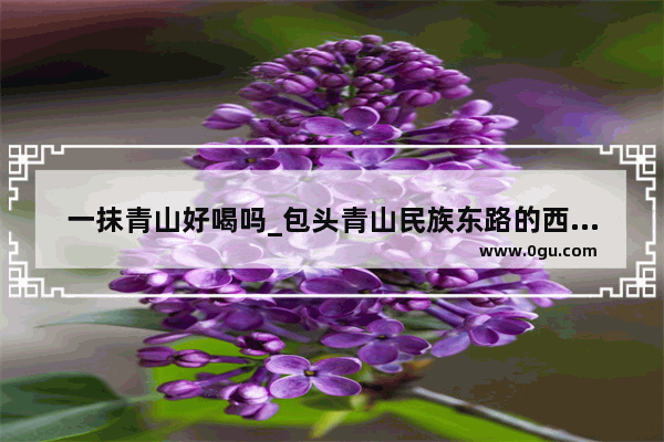 一抹青山好喝吗_包头青山民族东路的西餐厅