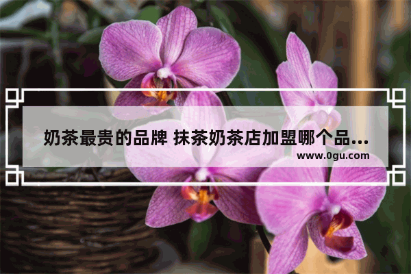 奶茶最贵的品牌 抹茶奶茶店加盟哪个品牌好