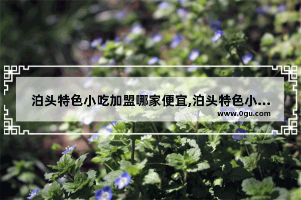 泊头特色小吃加盟哪家便宜,泊头特色小吃加盟哪家便宜