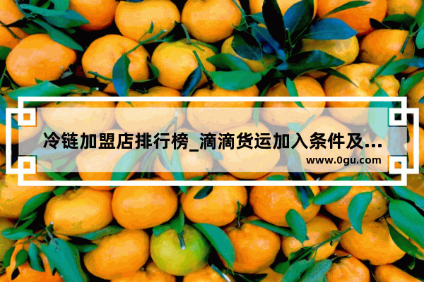 冷链加盟店排行榜_滴滴货运加入条件及费用