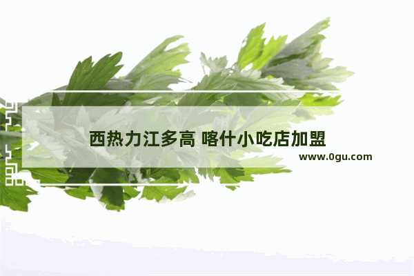 西热力江多高 喀什小吃店加盟