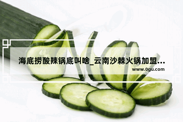 海底捞酸辣锅底叫啥_云南沙棘火锅加盟店排行榜