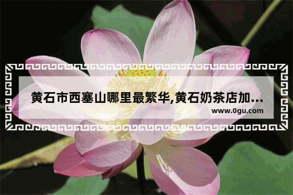 黄石市西塞山哪里最繁华,黄石奶茶店加盟店