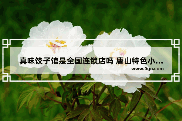 真味饺子馆是全国连锁店吗 唐山特色小吃加盟费用