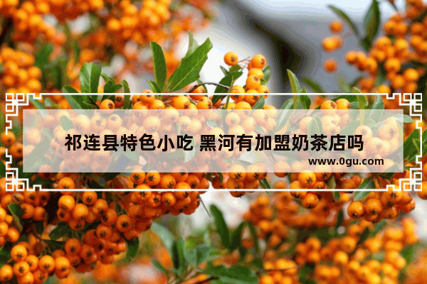 祁连县特色小吃 黑河有加盟奶茶店吗