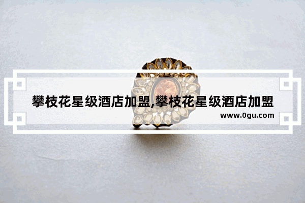 攀枝花星级酒店加盟,攀枝花星级酒店加盟