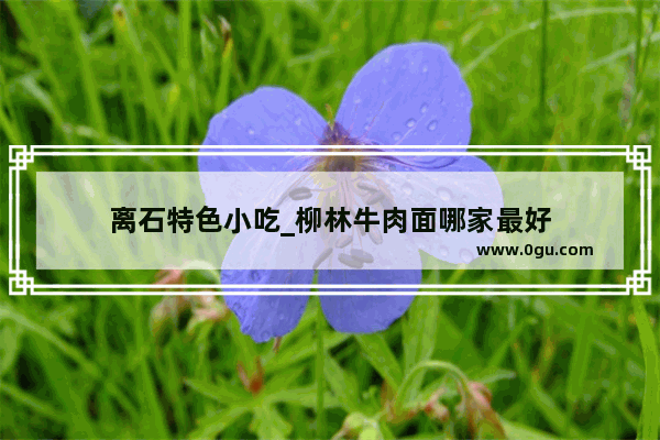 离石特色小吃_柳林牛肉面哪家最好