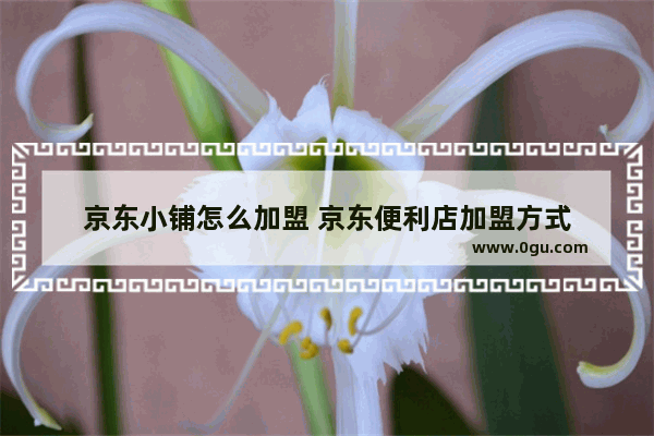 京东小铺怎么加盟 京东便利店加盟方式