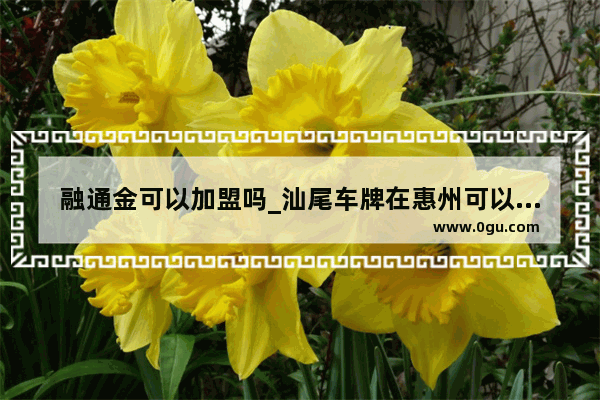 融通金可以加盟吗_汕尾车牌在惠州可以跑滴滴吗