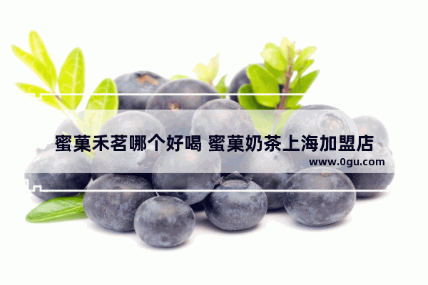 蜜菓禾茗哪个好喝 蜜菓奶茶上海加盟店